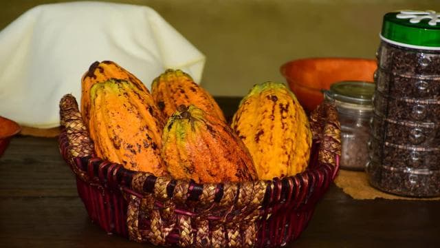 Jaco Beach & Los Suenos: Chocolate Tour and Zip lining