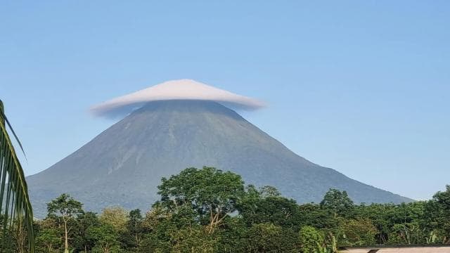 Volcan Arenal : randonnée guidée sur le sentier El Silencio - Photo 3 (Gallery view)