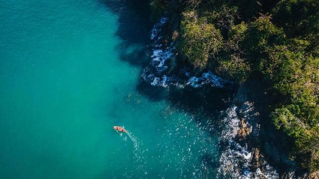 Manuel Antonio: Ekologiczna przygoda morska - Photo 4 (Gallery view)