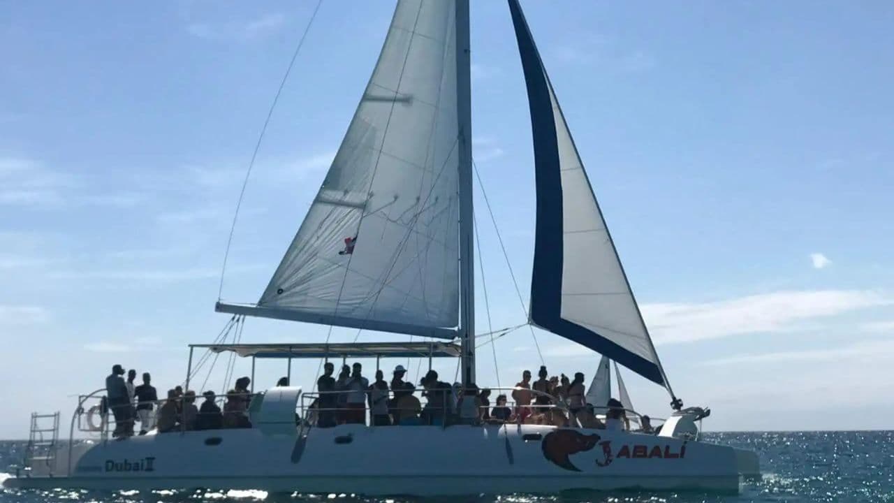 Saona Island Excursion Punta Cana - Photo 4 (Gallery view)
