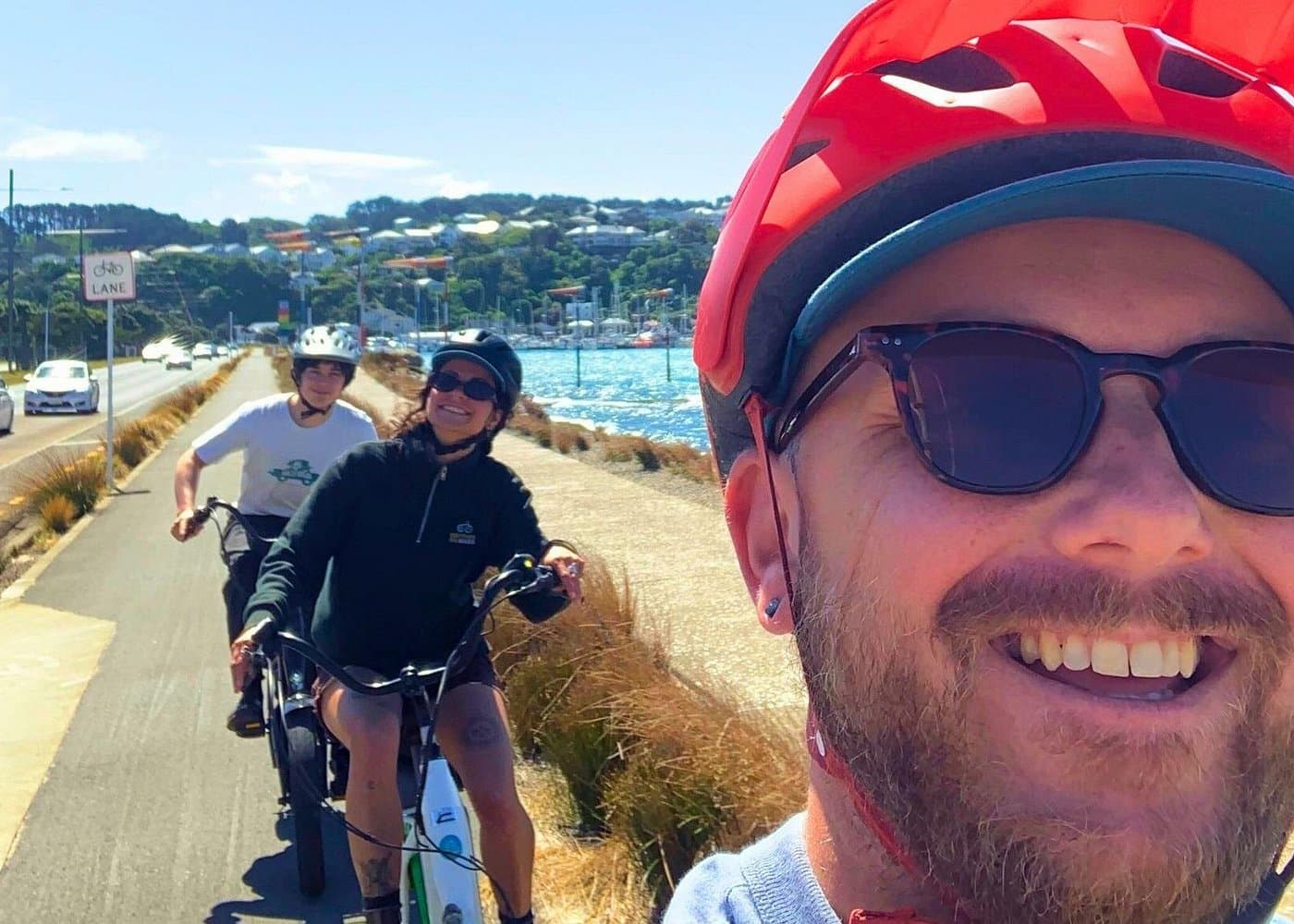 Wellington Electric Bike Rental - Photo 4 (Gallery view)