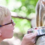 Puerto Plata: Monkeyland and Zip-Line Adventure - Photo 3 (Gallery view)