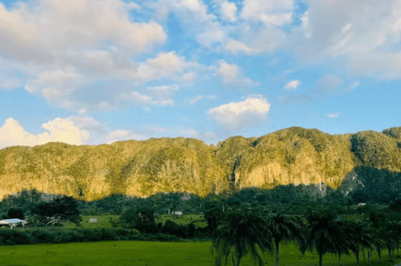 Viñales Valley Buggy Tours