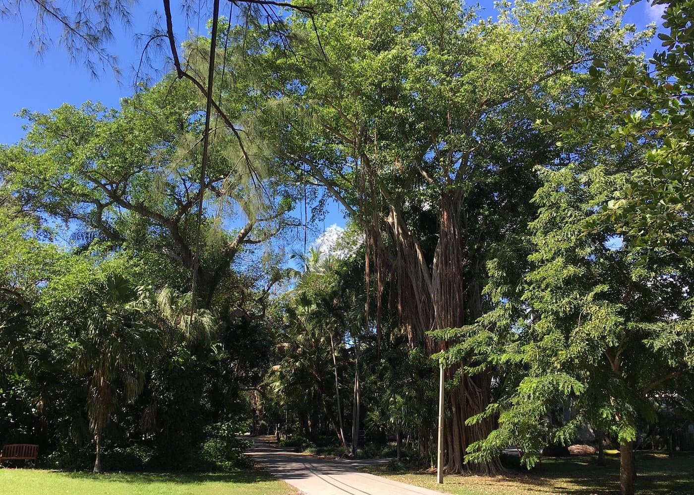 City Tour Miami PLUS and Boat Tour