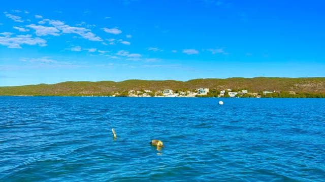 Gilligan Paradise: Snorkeling Adventure & Seafood Delight