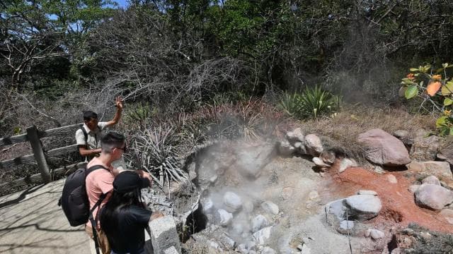 Rincón de la Vieja: Las Pailas trail + Oropendola - Photo 3 (Gallery view)