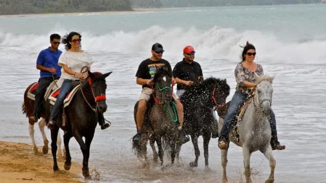 Carabalí Rainforest Park: Beach Horseback Riding