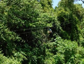 Puerto Plata ATV N Zip Adventure | Shore Excursion & Hotel - Photo 4 (Gallery view)