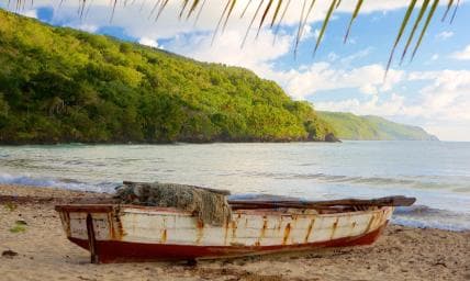 Samana Day Tour: Cayo Levantado & Rincon Bay Paradise - Photo 3 (Gallery view)