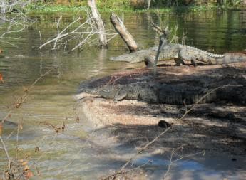 Barahona: Lake Enriquillo Discovery Tour