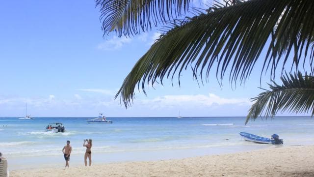 Punta Cana: Saona Island and Altos de Chavón Day Trip