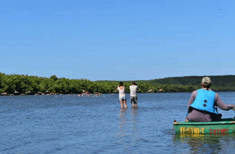 Guanaroca Lagoon Boat Tour