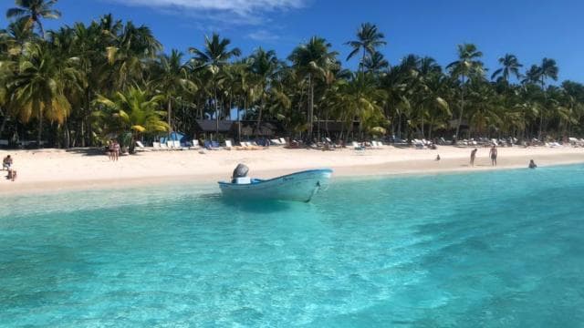 Saona Island Day Trip + Lunch + Open Bar from Punta Cana - Photo 3 (Gallery view)