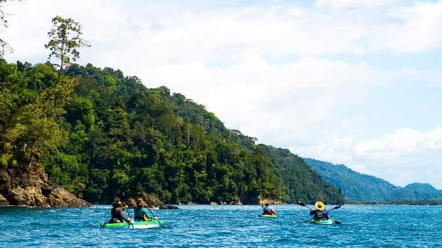 Uvita: Kayak & Snorkel Private Tour - Marino Ballena N. Park