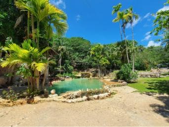 Aventura desde Samaná: Los Haitises, Caño Hondo y Yanigua - Photo 2 (Gallery view)