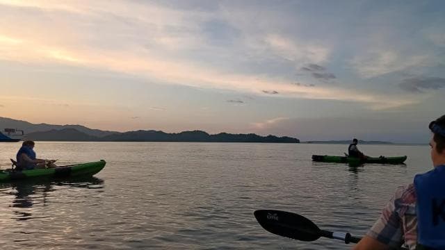 Paquera: Bioluminescent Kayak Tour Costa Rica