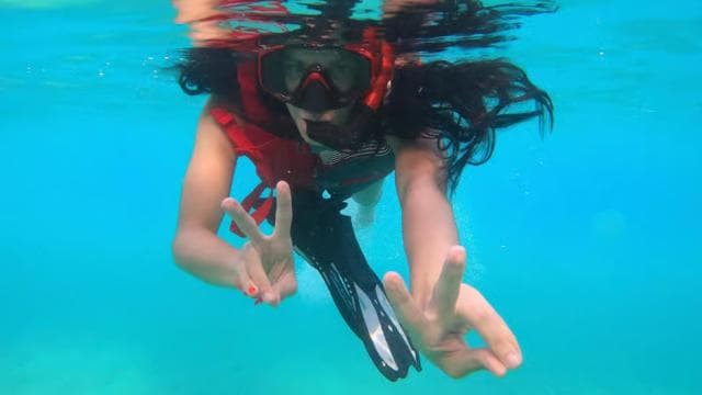 VIP Snorkeling with Turtles Adventure