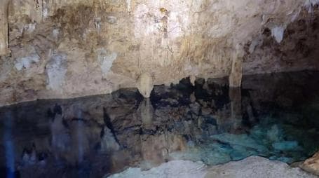 Private: Bayahibe: Jungle Walk and Cenote Snorkeling Tour
