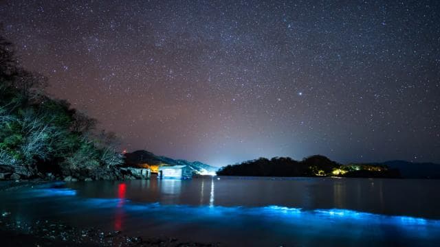 Bioluminescence Tour; Speedboat, Camping (From San José)