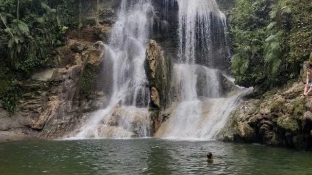 Puerto Rico: Gozalandia River Hiking and Waterfall Tour
