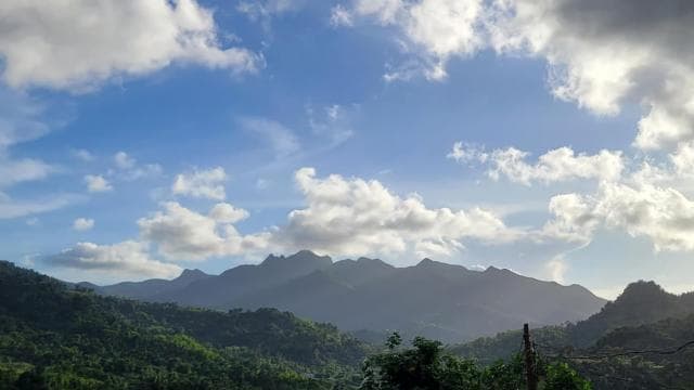 From San Juan: El Yunque Rainforest & Luquillo Kiosks Tour - Photo 5 (Gallery view)