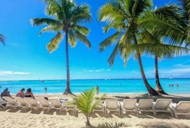 Saona Island: Catamaran/Speedboat Tour to a Dream Beach