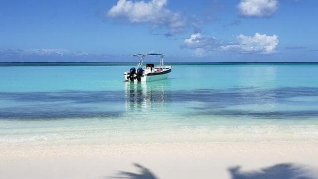 Punta Cana: Saona Island Full-Day Group Tour - Dominican Republic