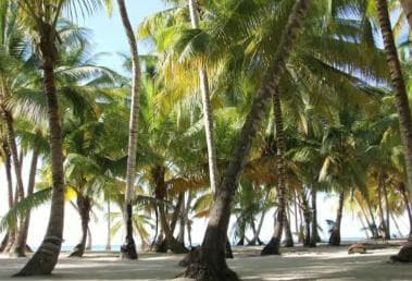 Private: Full-Day Excursion from Chavón & Saona Island