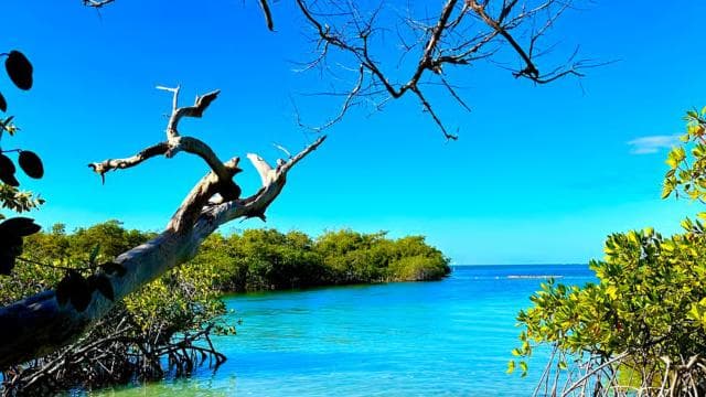 Gilligan Paradise: Snorkeling Adventure & Seafood Delight