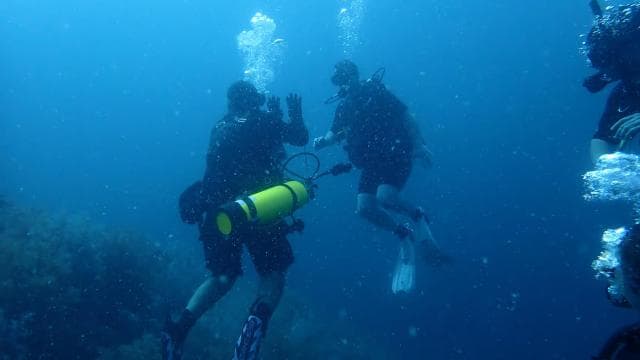 Golfito, Costa Rica: PADI Open Water Diver Certification - Photo 5 (Gallery view)