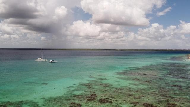 From Bayahibe: Saona Island, Open Bar, Speedboat & Lunch