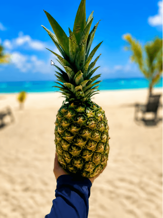 Punta Cana: VIP-Katamaran-Tour zur Insel Saona, All Inclusive - Photo 2 (Gallery view)