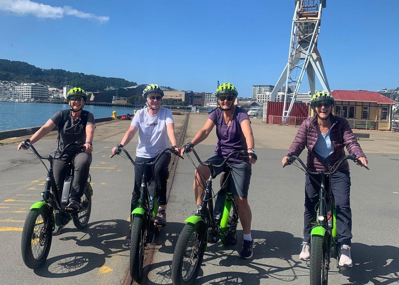 Wellington Electric Bike Rental - Photo 3 (Gallery view)