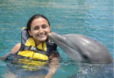 Ocean World Dolphin Swim & Sea Lion Combo from Puerto Plata