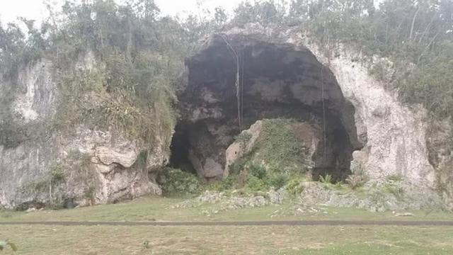 Concrete Jungle to the Actual Jungle, Complete Package Tour - Dominican Republic