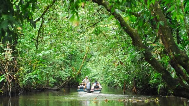 San Jose: Tortuguero Park Day Tour with Breakfast & Lunch
