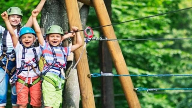 Punta Cana: Zipline Canopy Adventure with Hotel Pickup - Dominican Republic