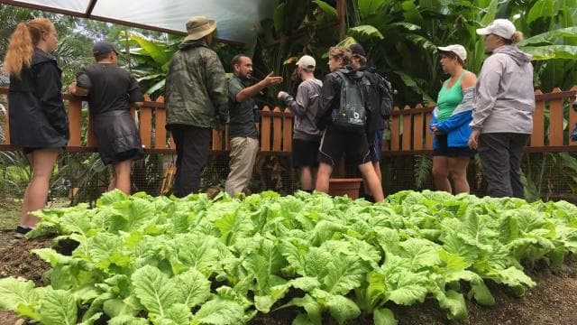 Chocolate, Vanilla and Coffee Tour