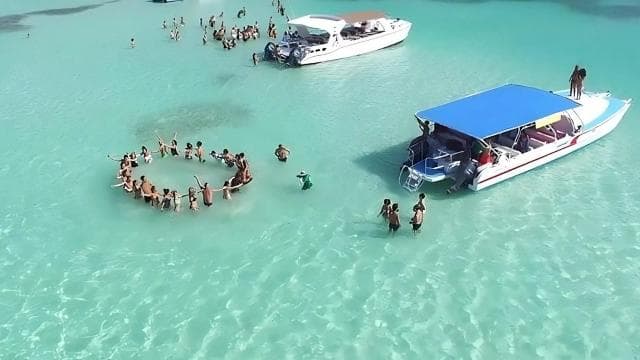 Von Bayahibe: Insel Saona, offene Bar, Schnellboot und Mittagessen - Photo 4 (Gallery view)