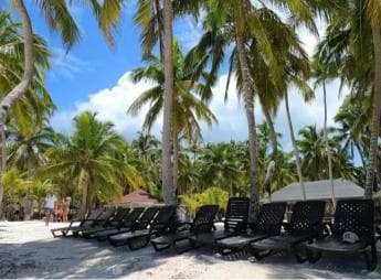 Saona Island: Tour with Lunch and Drinks