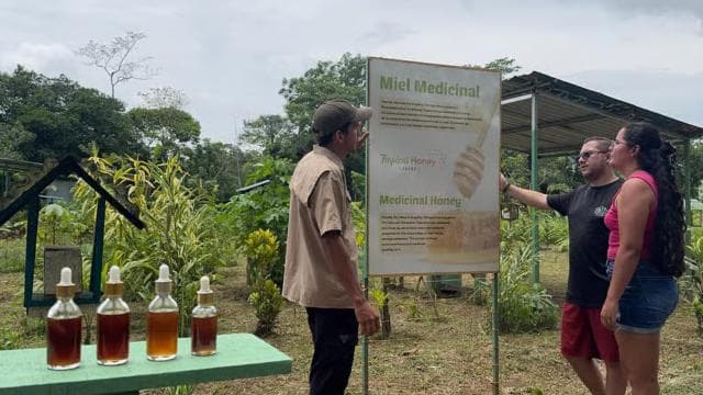 La Fortuna: Arenal Bee Garden Tour