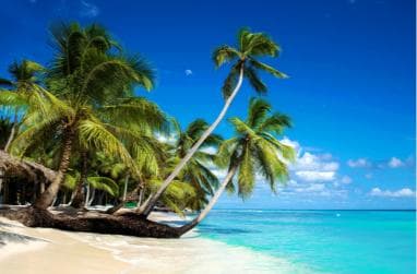 Private: Isla Saona VIP Escape Luxury Beach & Speedboat Tour - Photo 3 (Gallery view)