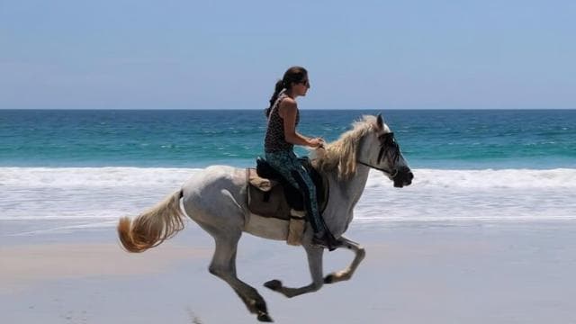 Guanacaste: Safari & Buenavista Beach Horse Riding Tour - Photo 3 (Gallery view)