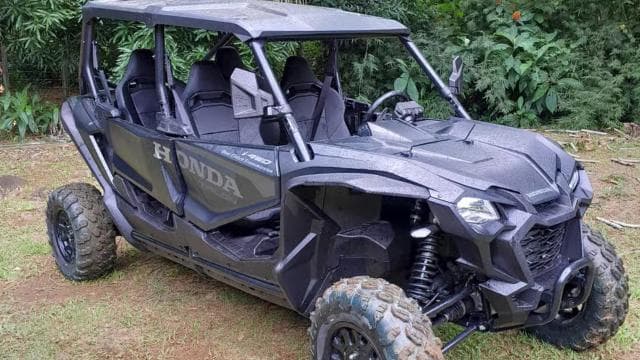 Uvita: Nauyaca Waterfalls Private 4-Seater SxS Tour & Lunch