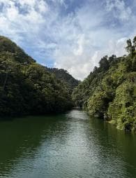 Bonao: Yerlilerle Gizli Tropikal Şelalelere Yürüyüş - Photo 5 (Gallery view)