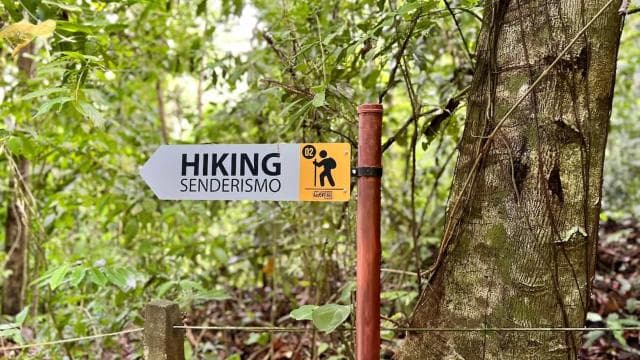 Self Guided Nature Hike with Ocean View Photo spots in Jaco