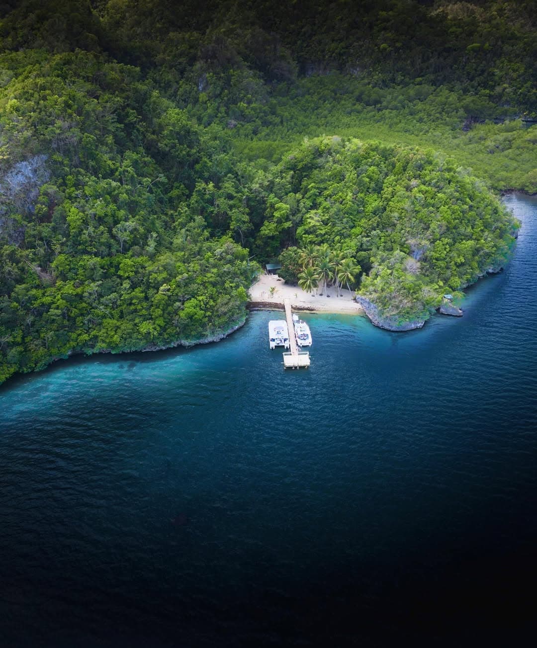 Los Haitises 4 Caves expedition & Rain Forest walk - Dominican Republic