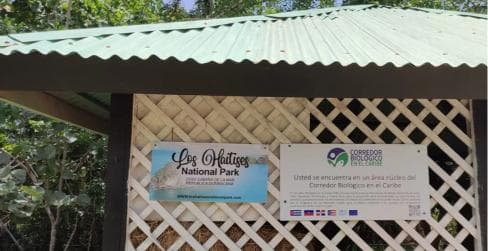 Privato: Los Haitises e Cayo Levantado da Samana - Photo 5 (Gallery view)