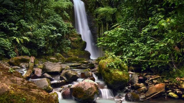 From San Jose: La Paz Waterfall Gardens Guided Day Tour