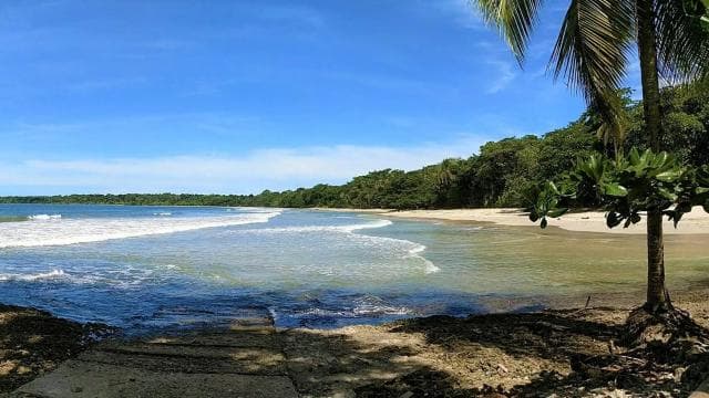 Marino Ballena National Park: Whale Watching In Uvita